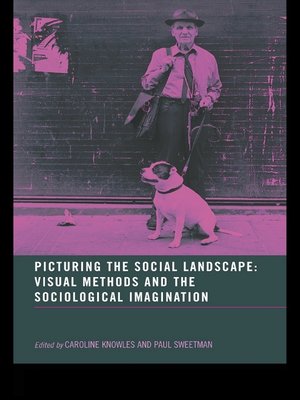 cover image of Picturing the Social Landscape